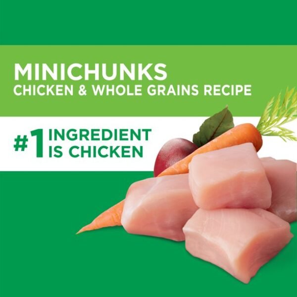 IAMS Adult Minichunks Small Kibble High Protein Dry Dog Food With Real Chicken, 40 Lb. Bag - Image 3