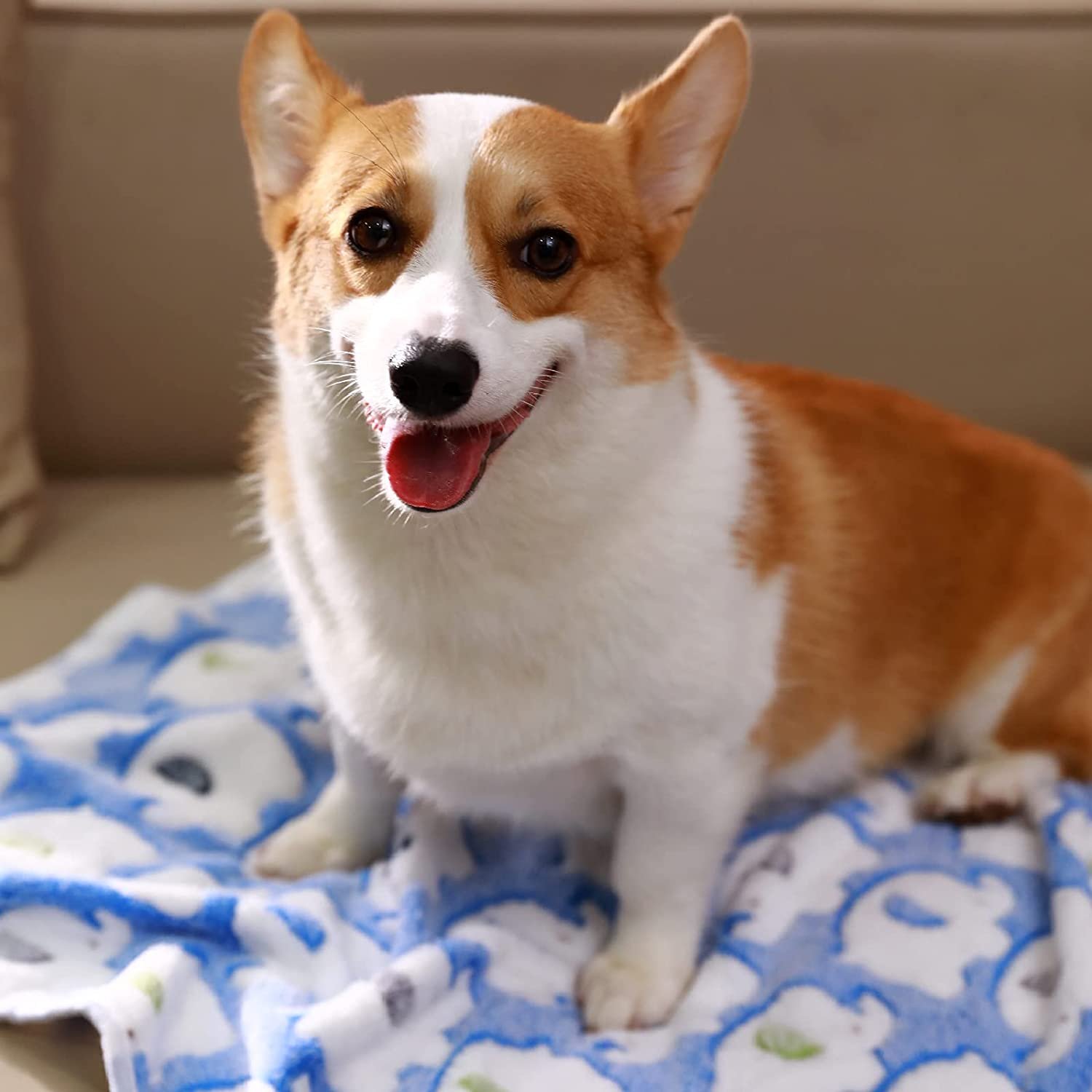 1 Pack 3 Blankets Super Soft Fluffy Premium Cute Elephant Pattern Pet Blanket Flannel Throw for Dog Puppy Cat - Image 2